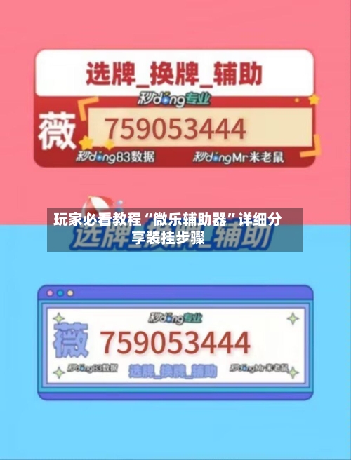 玩家必看教程“微乐辅助器”详细分享装挂步骤-第2张图片