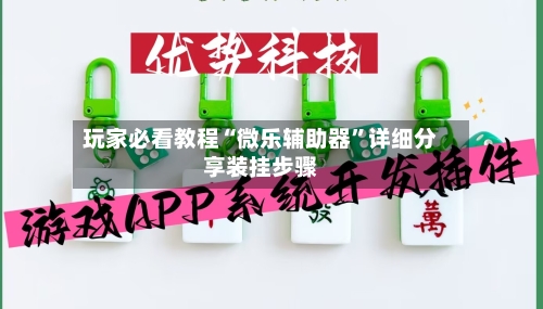 玩家必看教程“微乐辅助器”详细分享装挂步骤-第3张图片