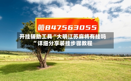 开挂辅助工具“大明江苏麻将有挂吗”详细分享装挂步骤教程-第2张图片