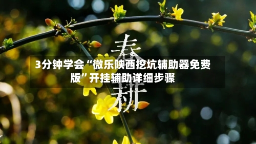 3分钟学会“微乐陕西挖坑辅助器免费版”开挂辅助详细步骤-第3张图片