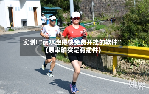 实测!“丽水跑得快免费开挂的软件	”(原来确实是有插件)-第2张图片