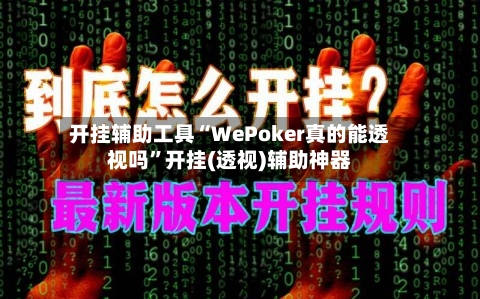 开挂辅助工具“WePoker真的能透视吗”开挂(透视)辅助神器-第3张图片