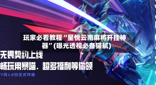 玩家必看教程“星悦云南麻将开挂神器	”(曝光透视必备猫腻)-第3张图片