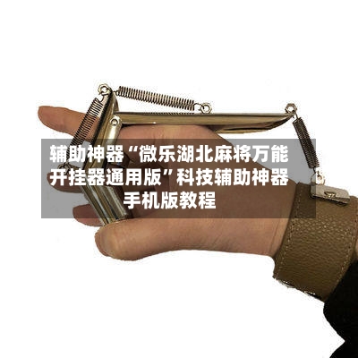 辅助神器“微乐湖北麻将万能开挂器通用版”科技辅助神器手机版教程