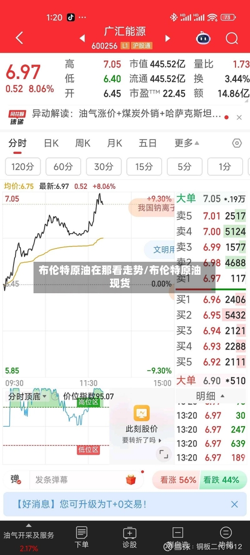 布伦特原油在那看走势/布伦特原油现货