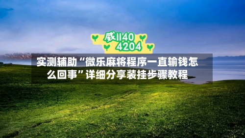 实测辅助“微乐麻将程序一直输钱怎么回事”详细分享装挂步骤教程-第3张图片