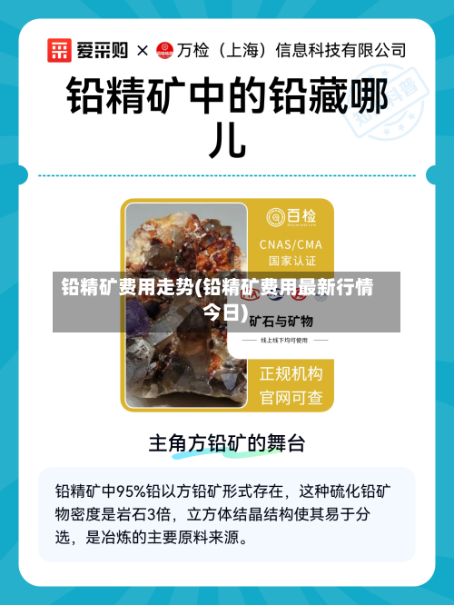 铅精矿费用走势(铅精矿费用最新行情 今日)