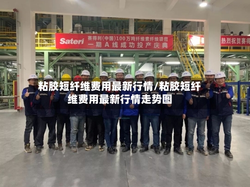 粘胶短纤维费用最新行情/粘胶短纤维费用最新行情走势图-第2张图片