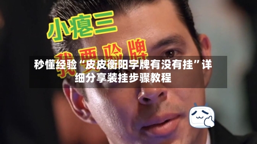 秒懂经验“皮皮衡阳字牌有没有挂	”详细分享装挂步骤教程-第3张图片