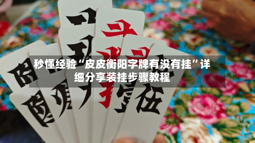 秒懂经验“皮皮衡阳字牌有没有挂”详细分享装挂步骤教程-第2张图片