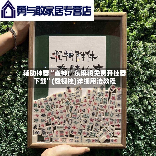 辅助神器“雀神广东麻将免费开挂器下载	”(透视挂)详细用法教程-第2张图片