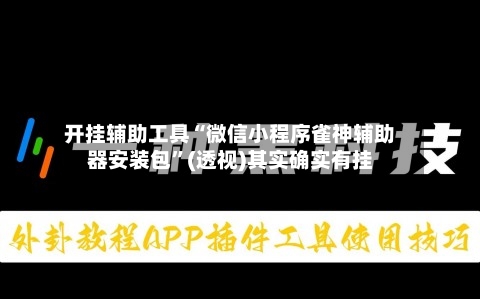 开挂辅助工具“微信小程序雀神辅助器安装包	”(透视)其实确实有挂-第2张图片