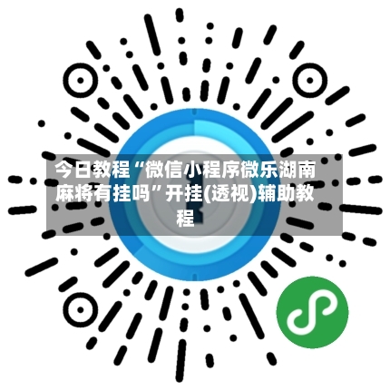 今日教程“微信小程序微乐湖南麻将有挂吗”开挂(透视)辅助教程-第3张图片