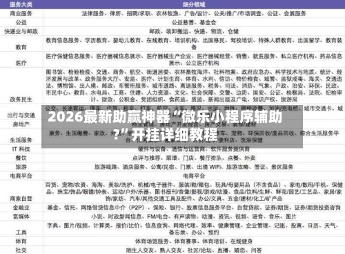 2026最新助赢神器“微乐小程序辅助?”开挂详细教程-第3张图片