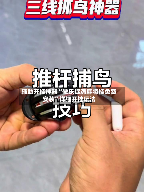 辅助开挂神器“微乐捉鸡麻将挂免费安装	”详细开挂玩法-第2张图片