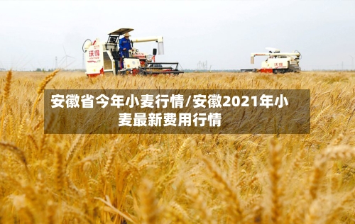 安徽省今年小麦行情/安徽2021年小麦最新费用行情
