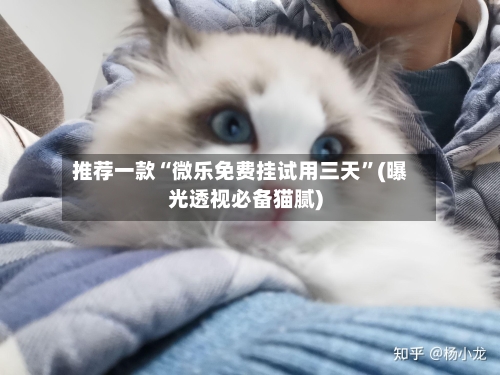 推荐一款“微乐免费挂试用三天	”(曝光透视必备猫腻)-第2张图片