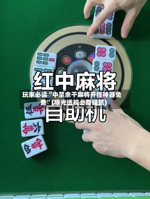 玩家必读“中至余干麻将开挂神器免费	”(曝光透视必备猫腻)-第3张图片