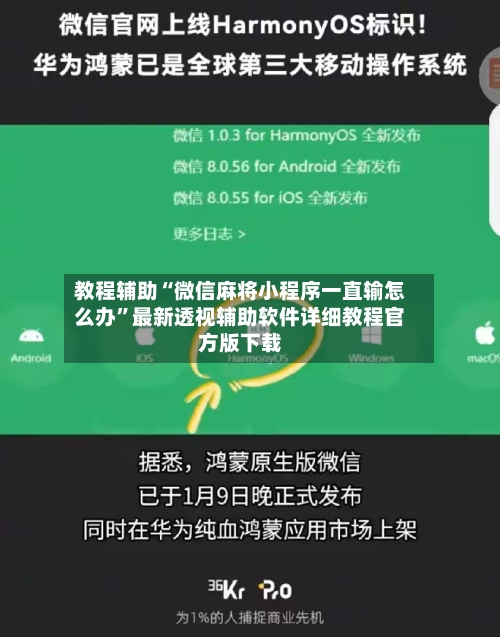 教程辅助“微信麻将小程序一直输怎么办”最新透视辅助软件详细教程官方版下载-第2张图片