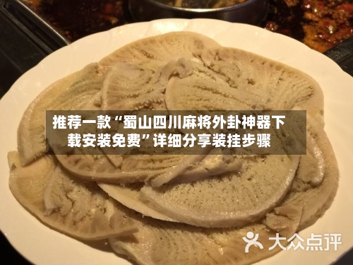 推荐一款“蜀山四川麻将外卦神器下载安装免费”详细分享装挂步骤-第2张图片