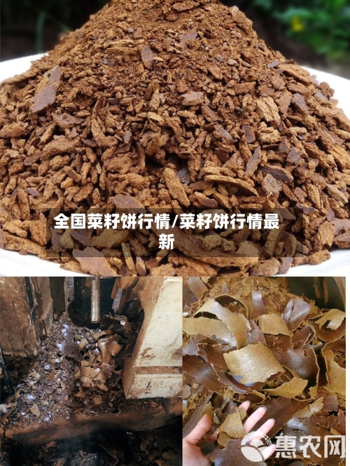 全国菜籽饼行情/菜籽饼行情最新-第2张图片