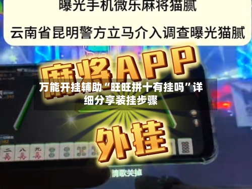万能开挂辅助“旺旺拼十有挂吗	”详细分享装挂步骤-第3张图片