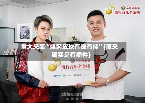 重大来袭“娱网皮球有没有挂	”(原来确实是有插件)-第2张图片