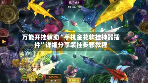 万能开挂辅助“手机金花软挂神器插件”详细分享装挂步骤教程-第2张图片