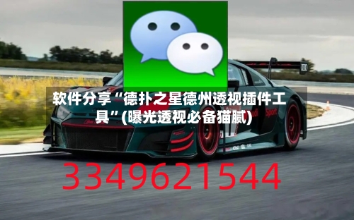 软件分享“德扑之星德州透视插件工具”(曝光透视必备猫腻)-第2张图片