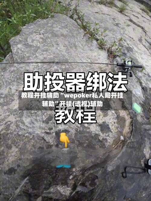 教程开挂辅助“wepoker私人局开挂辅助”开挂(透视)辅助-第2张图片