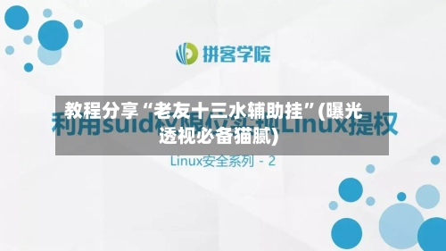 教程分享“老友十三水辅助挂”(曝光透视必备猫腻)
