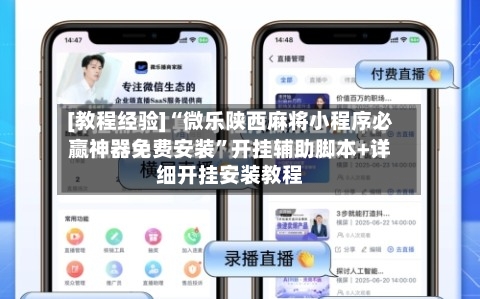 [教程经验]“微乐陕西麻将小程序必赢神器免费安装”开挂辅助脚本+详细开挂安装教程-第3张图片