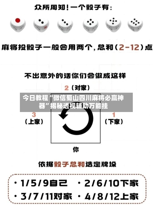 今日教程“微信蜀山四川麻将必赢神器”揭秘透视辅助万能挂-第2张图片