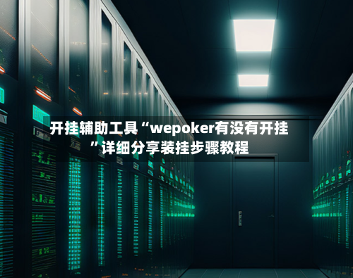 开挂辅助工具“wepoker有没有开挂”详细分享装挂步骤教程-第2张图片