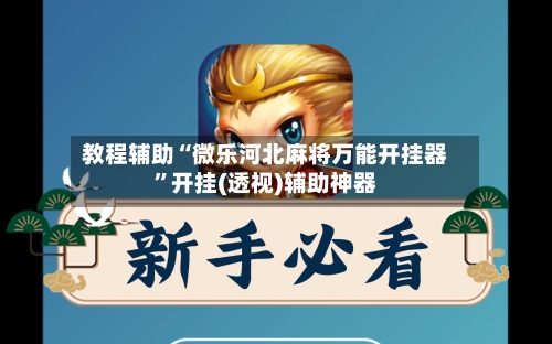 教程辅助“微乐河北麻将万能开挂器”开挂(透视)辅助神器-第3张图片