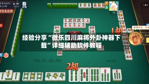 经验分享“微乐四川麻将外卦神器下载”详细辅助软件教程-第2张图片
