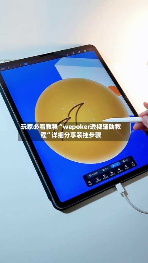 玩家必看教程“wepoker透视辅助教程”详细分享装挂步骤-第2张图片