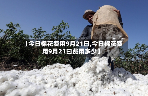【今日棉花费用9月21曰,今日棉花费用9月21曰费用多少】-第3张图片