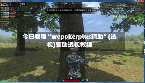 今日教程“wepokerplus辅助”(透视)辅助透视教程-第2张图片