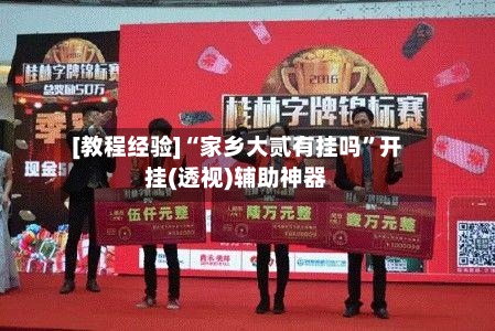 [教程经验]“家乡大贰有挂吗”开挂(透视)辅助神器-第2张图片