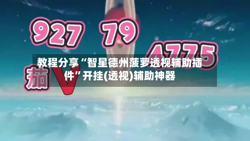 教程分享“智星德州菠萝透视辅助插件”开挂(透视)辅助神器-第3张图片