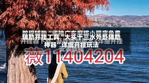 辅助开挂工具“大头十三水外卦辅助神器”详细开挂玩法-第2张图片