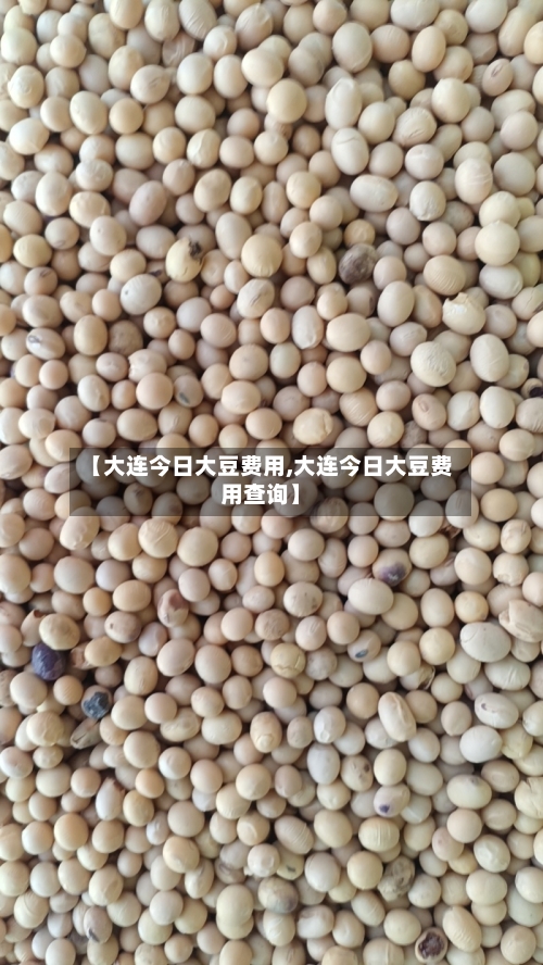 【大连今日大豆费用,大连今日大豆费用查询】-第2张图片