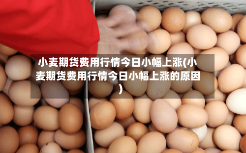小麦期货费用行情今日小幅上涨(小麦期货费用行情今日小幅上涨的原因)-第2张图片