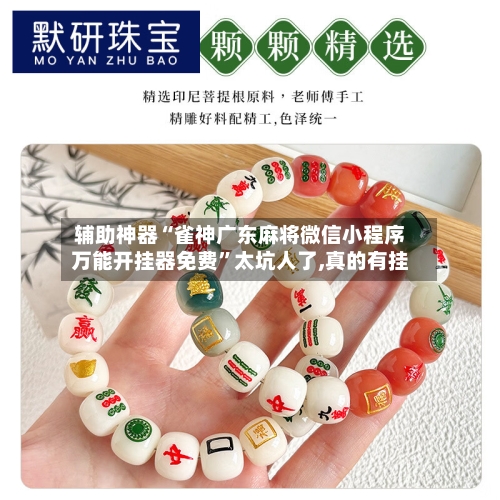 辅助神器“雀神广东麻将微信小程序万能开挂器免费”太坑人了,真的有挂-第2张图片