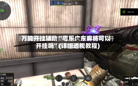 万能开挂辅助“粤乐广东麻将可以开挂吗”(详细透视教程)-第3张图片