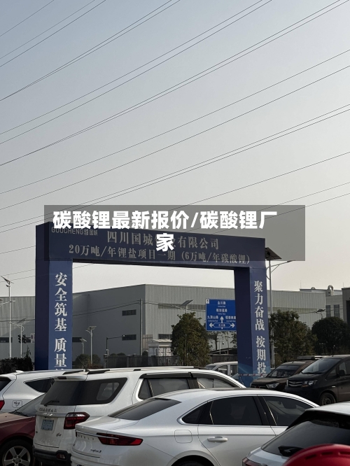 碳酸锂最新报价/碳酸锂厂家