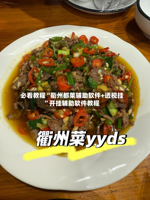 必看教程“衢州都莱辅助软件+透视挂”开挂辅助软件教程