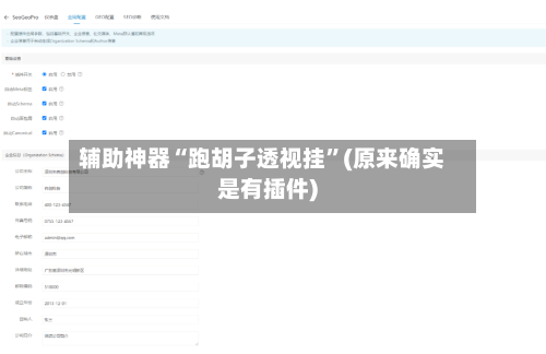 辅助神器“跑胡子透视挂	”(原来确实是有插件)-第2张图片
