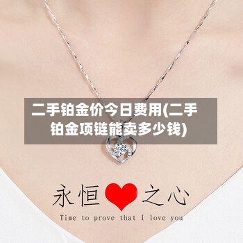 二手铂金价今日费用(二手铂金项链能卖多少钱)-第3张图片